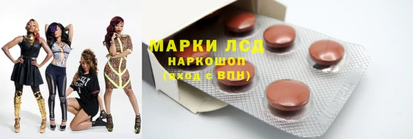PSILOCYBIN Верея