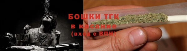 PSILOCYBIN Верея