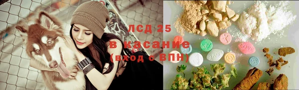 PSILOCYBIN Верея