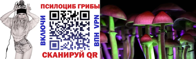 продажа наркотиков Дегтярск blacksprut ССЫЛКА Галлюциногенные грибы Magic Shrooms